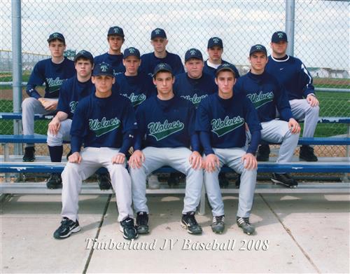 Baseball 2008